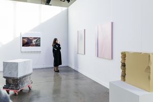 Shahryar Nashat, <a href='/art-galleries/david-kordansky-gallery/' target='_blank'>David Kordansky Gallery</a>, Independent, New York (6–8 March 2020). Courtesy Ocula. Photo: Charles Roussel.